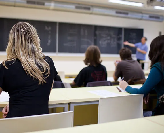 Undergraduate Programs